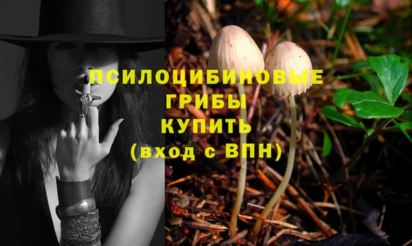 Альфа ПВП Баксан