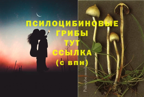 мдпв Балабаново