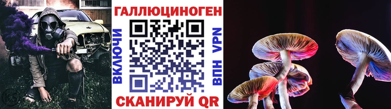 Галлюциногенные грибы MAGIC MUSHROOMS  Черемхово 